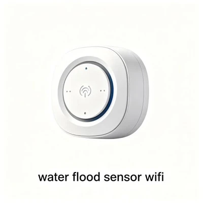 Braiteoir Uisce Íoslaigh Wifi